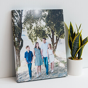 CANVAS PRINTS